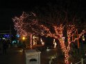 Toledo Zoo Lights 2008 011